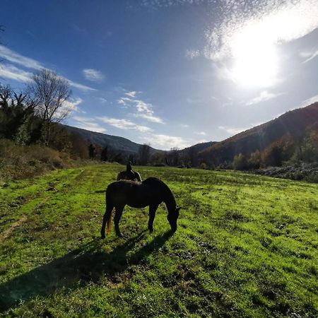 La Casella Antico Feudo Di Campagna Ficulle Экстерьер фото