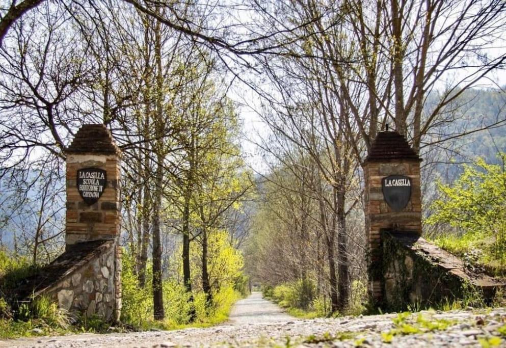 La Casella Antico Feudo Di Campagna Ficulle Экстерьер фото
