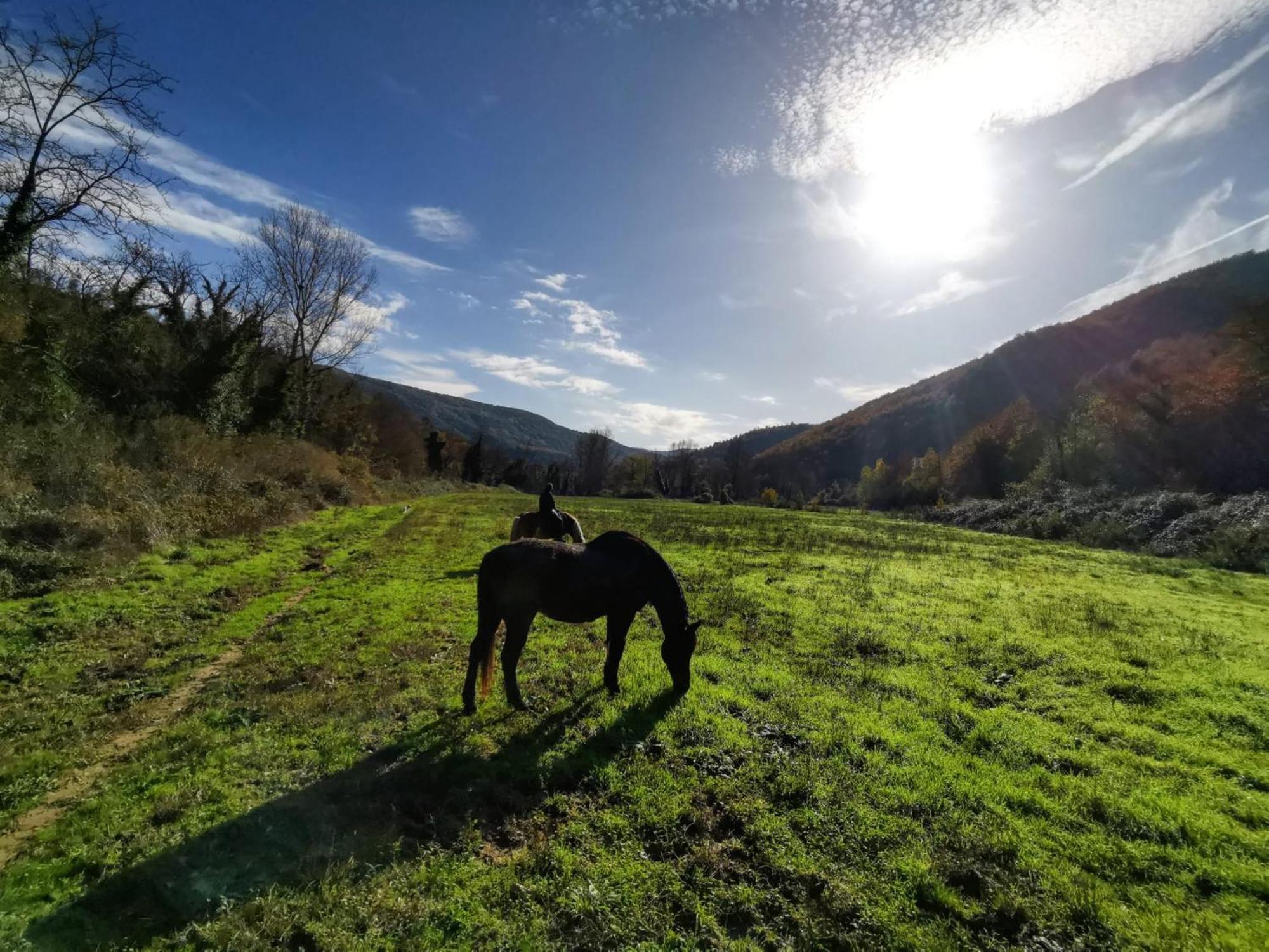 La Casella Antico Feudo Di Campagna Ficulle Экстерьер фото